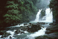Cascade de Nauyaca - Dominical