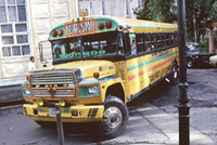 Schoolbus - transportes estudiantes 